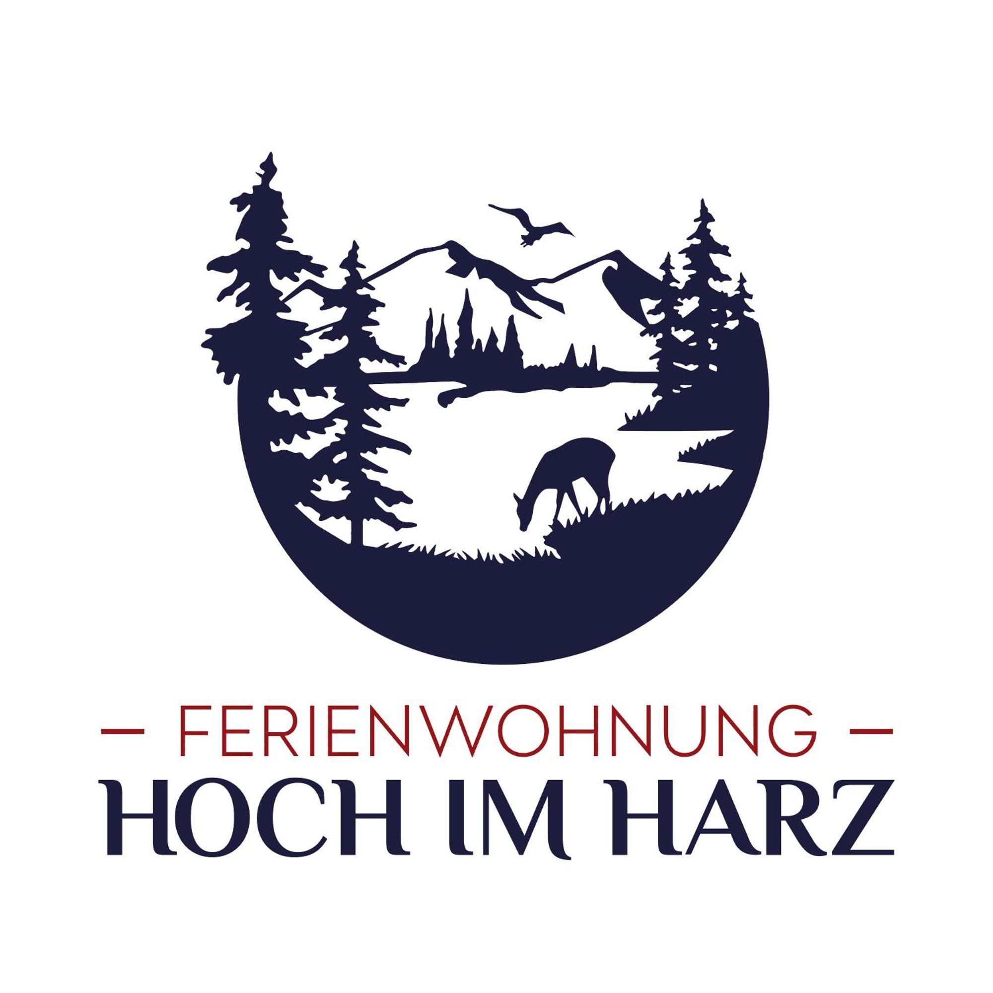 Ferienwohnung Hoch Im Harz, Altenau Altenau  Buitenkant foto